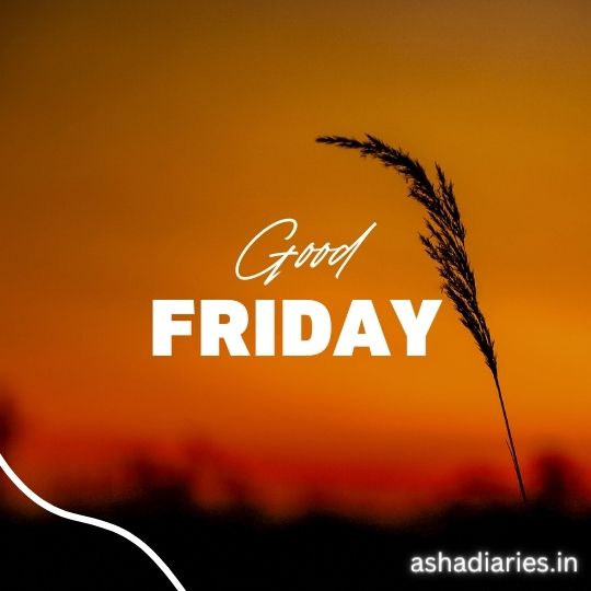 a Serene Sunset Backdrop with Shades of Orange and Yellow Gradients in the Sky, Featuring a Single Silhouette of a Wheat Stalk in the Foreground. Overlay Text Reads 'Good Friday' in a bold white font, with a website URL 'ashadiaries.in' in the corner.