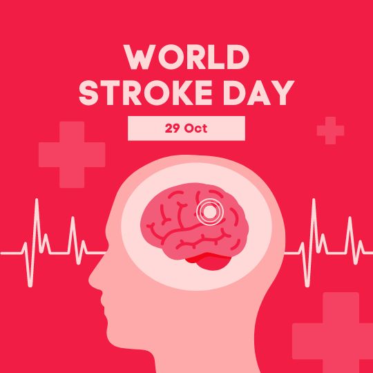 Graphic Illustration for World Stroke Day on 29th October, Featuring a Red Background with Icons of a Cross and a Plus Sign. It Includes a Silhouette of a Human Head with a Brain Highlighted in the Center, Overlaid with a Concentric Circle Design. Below the Brain, a Heartbeat Line Runs Across, Emphasizing the Focus on Brain Health.