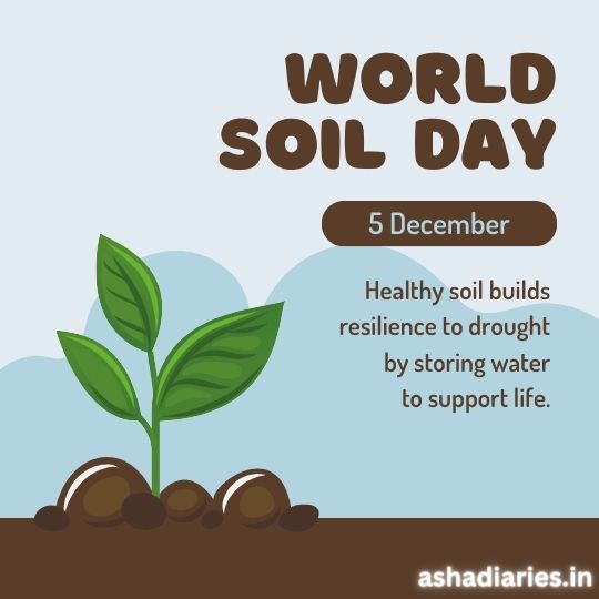 Illustration for World Soil Day, Featured on Ashadiaries.in. the Graphic Shows a Young Green Plant with Two Large Leaves Emerging from a Mound of Soil, Symbolizing Healthy Soil's ability to store water and support life. The text reads: 'World Soil Day, 5 December - Healthy soil builds resilience to drought by storing water to support life.' The background is a simple light blue with a few fluffy clouds.