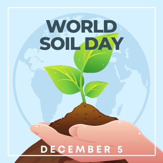 Illustration for World Soil Day Featuring a Pair of Hands Holding a Clump of Soil with a Sprouting Plant. the Background Displays a Simplified Global Map, Emphasizing the Worldwide Significance of the Event, Marked for December 5.