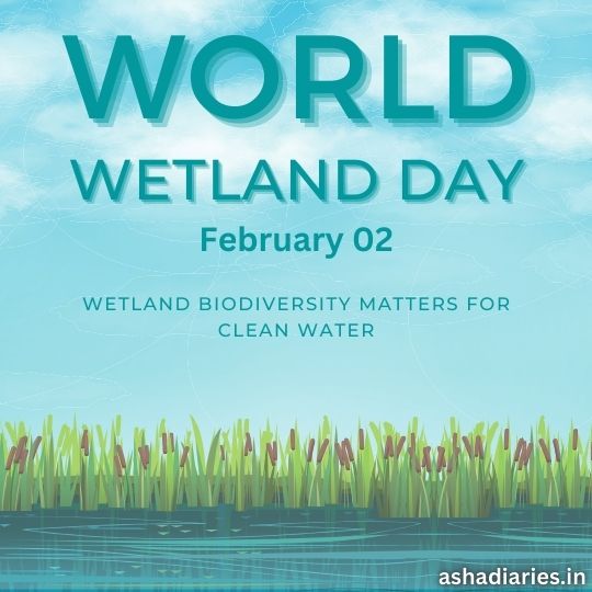 the Image Depicts a Promotional Poster for World Wetland Day, Observed on February 2nd. the Design Features Stylized Wetland Scenery with Aquatic Plants in the Foreground and a Serene Water Surface Reflecting a Clear Sky. the Poster Highlights the Theme "wetland Biodiversity Matters for Clean Water" and Includes the Website Ashadiaries.in at the Bottom. the Overall Color Palette Uses Shades of Blue and Green to Evoke a Sense of Nature and Water Conservation.