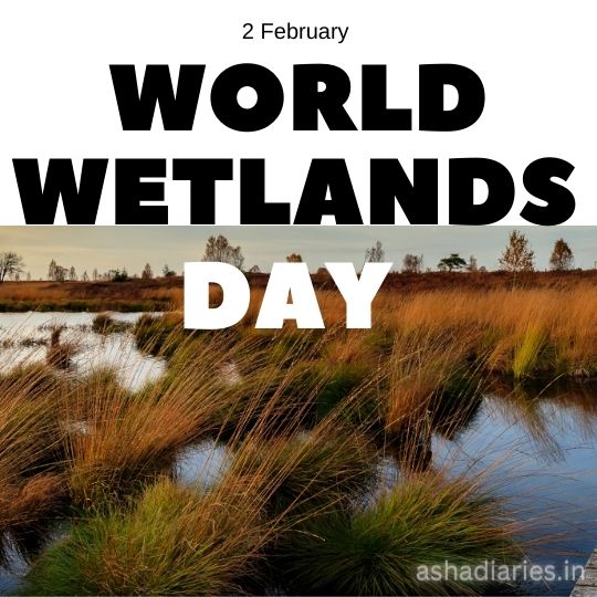 Promotional Graphic for World Wetlands Day on February 2, Featuring a Scenic View of a Wetland with Lush Grasses and a Small Pond, Overlaid with Bold Text 'World Wetlands Day' at the top.