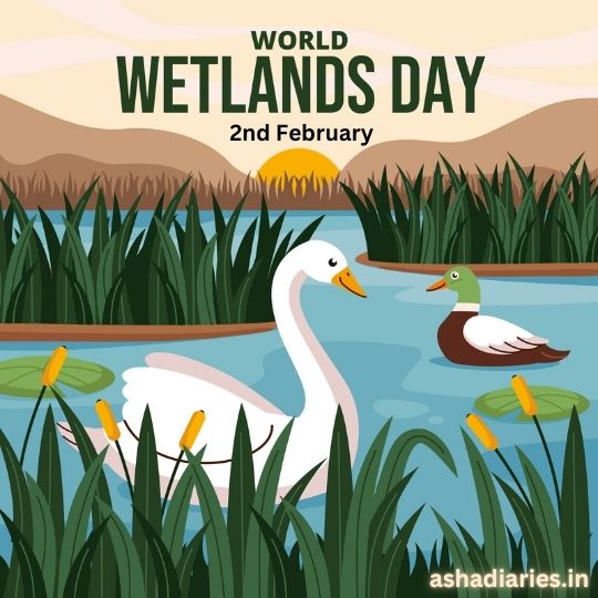 the Image is a Graphic Illustration for World Wetlands Day, Celebrated on 2nd February. It Features a Serene Wetland Scene with a White Swan and a Mallard Duck Floating on a Body of Water Surrounded by Green Reeds and Yellow Flowers. in the Background, There Are Hills Under a Sunset Sky. the Text "world Wetlands Day" and the Date "2nd February" Are Prominently Displayed at the Top of the Image.