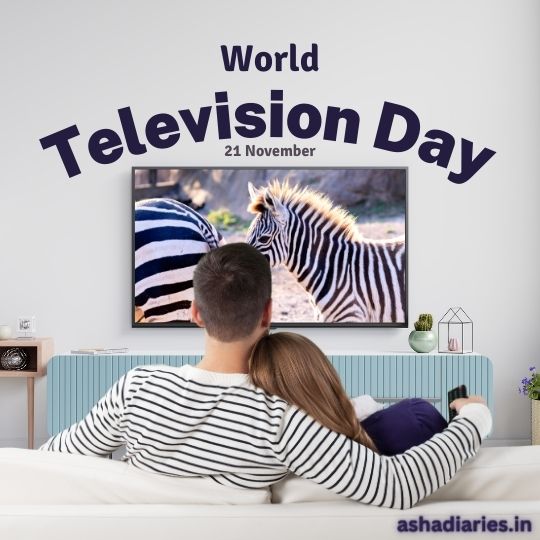 Couple Watching a Nature Documentary Featuring Zebras on Tv in a Cozy Living Room Setting, Celebrating World Television Day, 21 November; Ashadiaries.in Branding Visible.