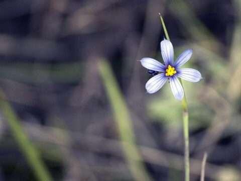 Poetry on Empathy in Hindi