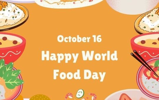 the Image Depicts a Vibrant Celebration of World Food Day on October 16, Showcasing a Variety of International Dishes. the Central Text Announces "happy World Food Day" Against a Cheerful Orange Background, Surrounded by Illustrations of Diverse Meals, Including Burgers, Sushi, Noodles, Salads, and Desserts, Emphasizing the Global Diversity of Cuisine.