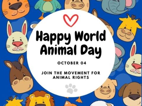 Happy World Animal Day promotional graphic featuring a colorful array of cartoon animals including a lion, dog, rabbit, and more, surrounding a central white circle with text celebrating the event on October 04 and promoting animal rights.