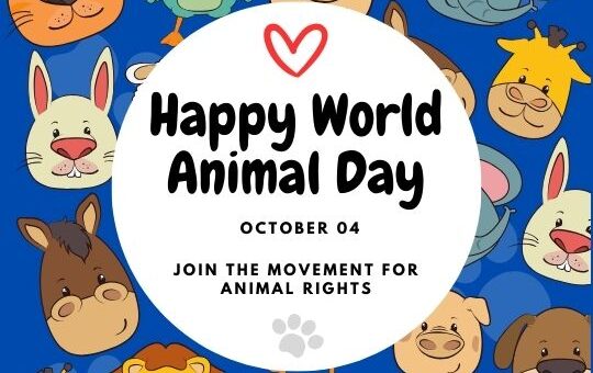 Happy World Animal Day Promotional Graphic Featuring a Colorful Array of Cartoon Animals Including a Lion, Dog, Rabbit, and More, Surrounding a Central White Circle with Text Celebrating the Event on October 04 and Promoting Animal Rights.