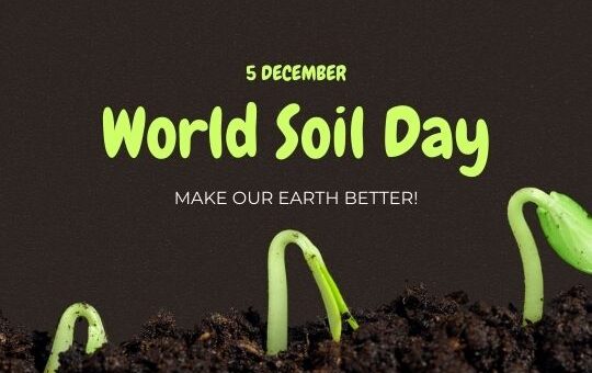 Promotional Graphic for World Soil Day Featuring a Close-up View of Rich Dark Soil with Sprouting Green Plants. the Text in Vibrant Green Reads '5 December World Soil Day' and 'make Our Earth Better!' Hosted on Ashadiaries.in.