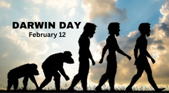 Evolution Through Time: Celebrating Darwin Day | Asha Diaries Silhouetted Progression of Human Evolution from Ape to Upright Human, Walking Against a Sunset Sky, with Text 'darwin Day February 12'.