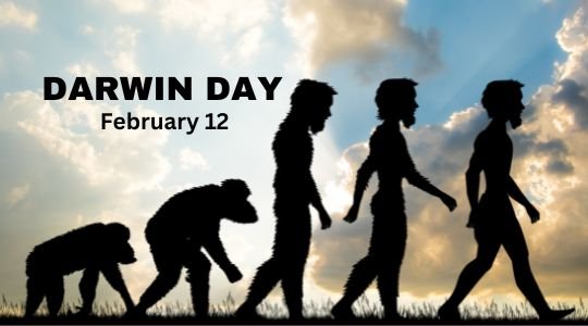 Silhouetted progression of human evolution from ape to upright human, walking against a sunset sky, with text 'DARWIN DAY February 12'.