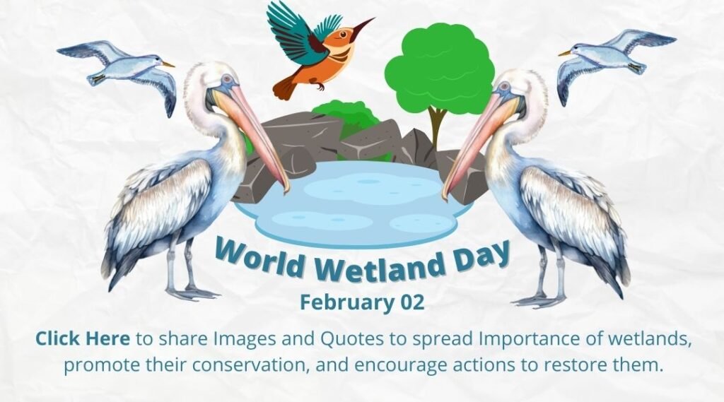 The image promotes World Wetland Day, observed on February 2nd, featuring illustrations of wetland wildlife such as pelicans, a hummingbird, and a gull, with a backdrop of a wetland scene complete with water, rocks, and greenery. The call to action encourages sharing images and quotes to highlight the importance of wetlands, promote their conservation, and inspire efforts to restore them.