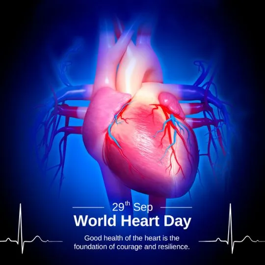 World Heart Day 29th September awareness poster showing human heart illustration with health message for courage and resilience