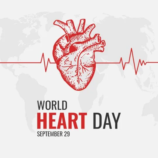 World Heart Day illustration with red human heart and heartbeat line, September 29 awareness poster
