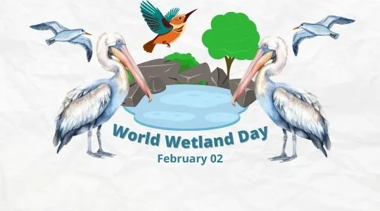 The image features a graphic for World Wetland Day, observed on February 2. It includes illustrations of two large pelicans on either side, a small, colorful bird in the middle, and a background showing a simplified wetland scene with water, a tree, and flying birds above.